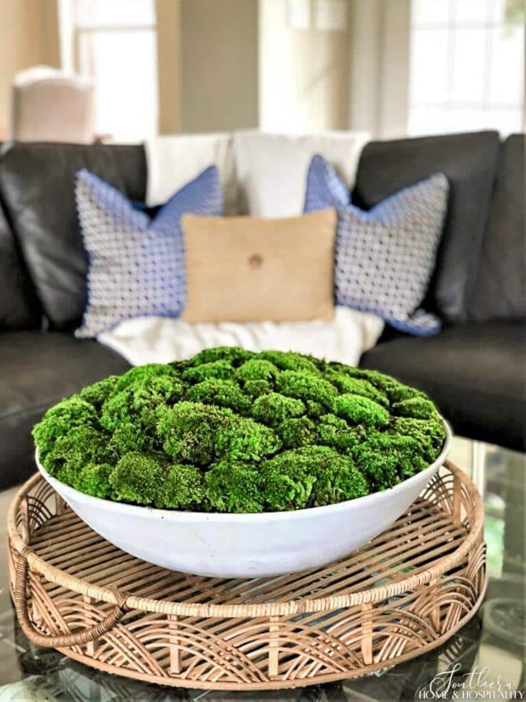 Large moss bowl on coffee table for summer