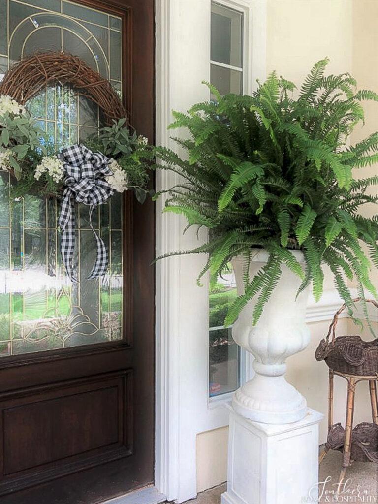 Summer front door wreath and large Kimberly Queen fern in urn