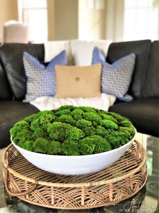 Preserved moss bowl coffee table decor
