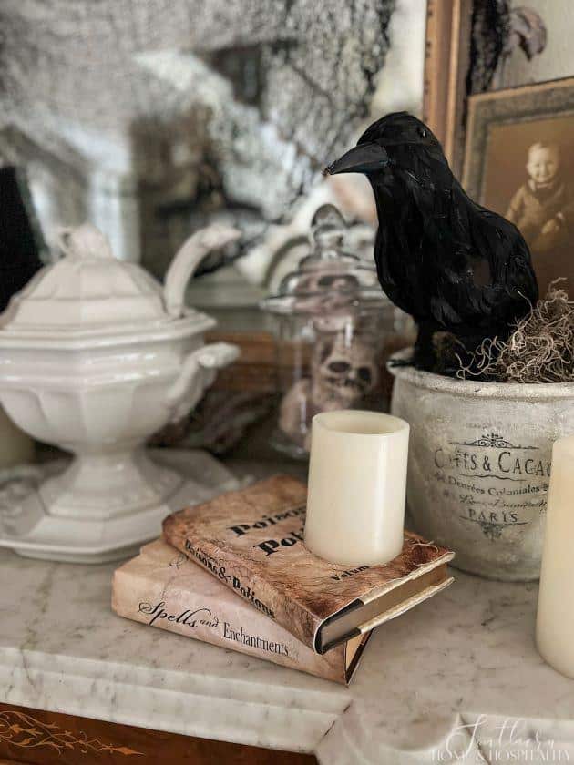 Halloween books, crow, skulls in apothecary jar