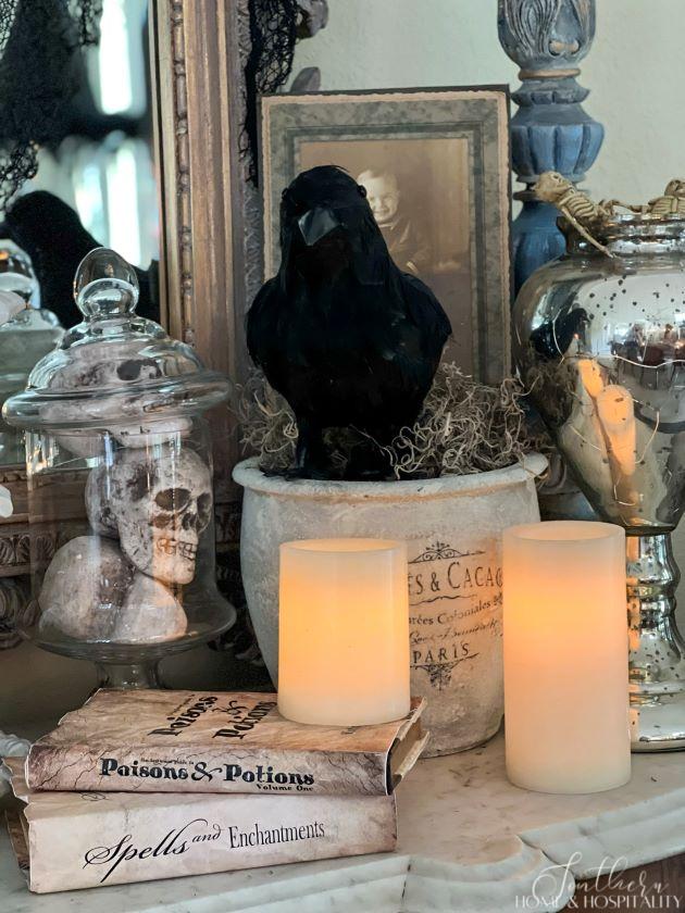 crow and skulls in apothecary jar