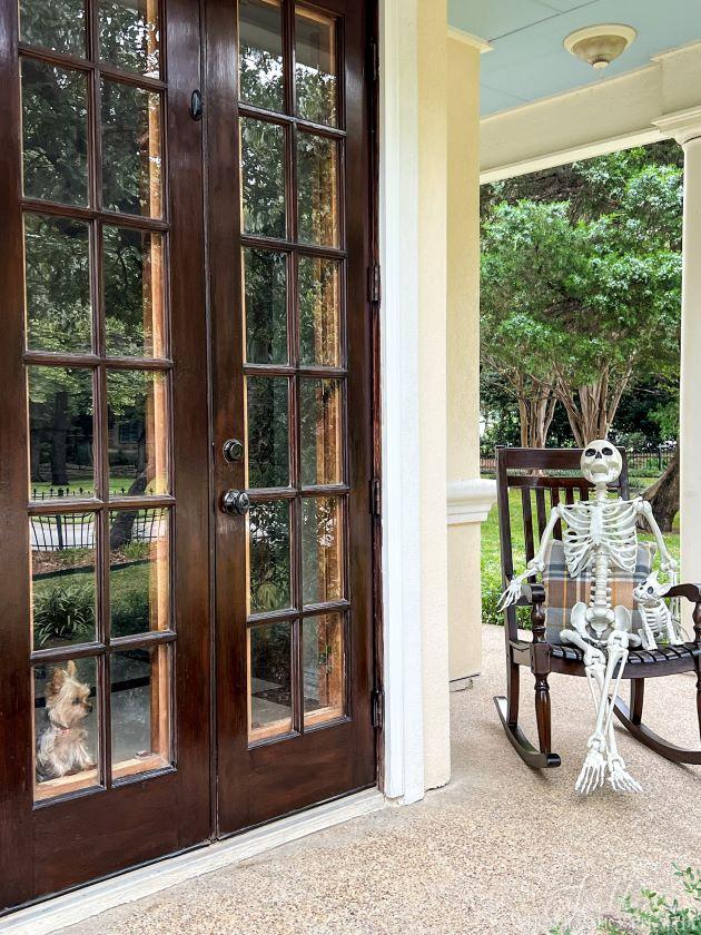 Skeleton and skeleton dog sitting in porch rocker
