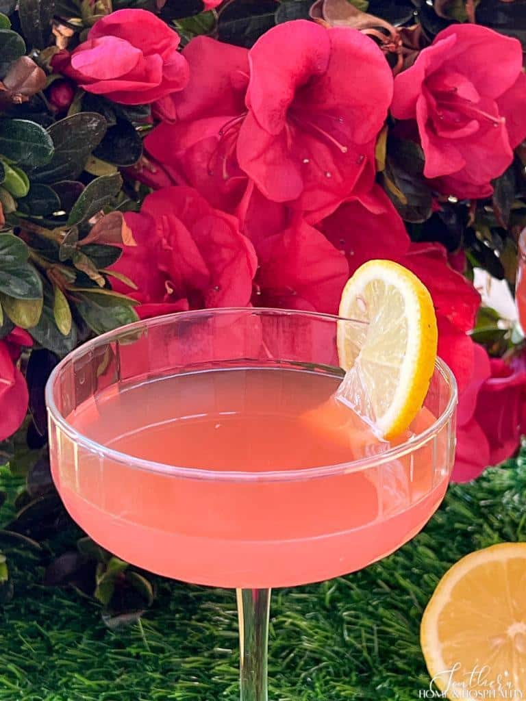 Pink azalea cocktail garnished with lemon in a coupe glass