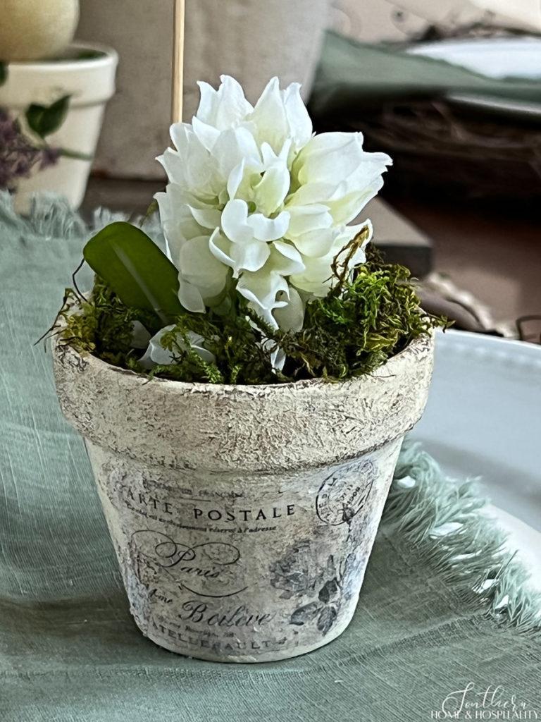 Aged garden pot with French postcard graphic transfer filled with moss and a white lilac