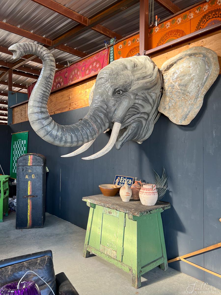 Large elephant head