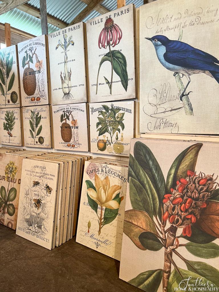 Botanical and bird artwork from Mackenzie 52