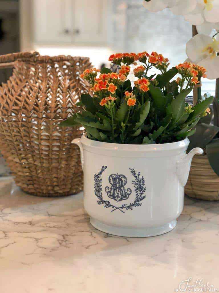 Monogrammed champagne bucket used as a planter