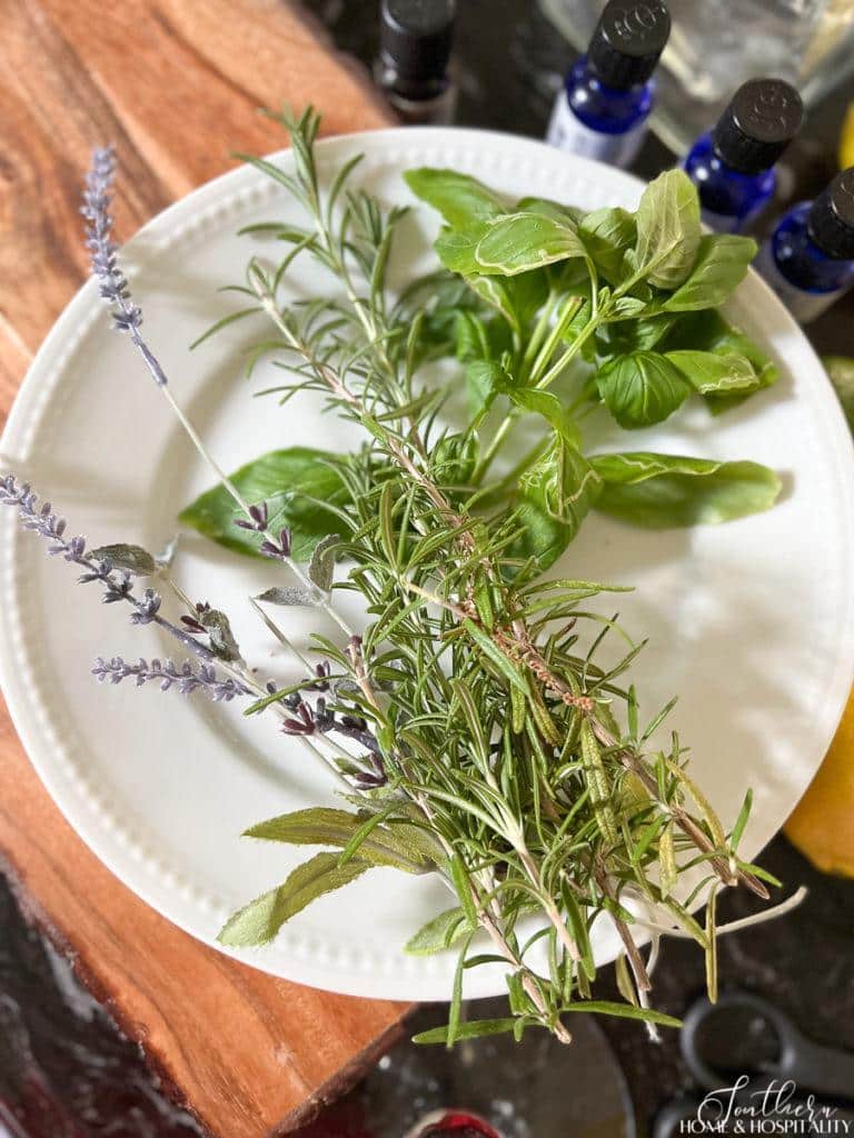 herbs that deter bugs, rosemary, basil, and lavender