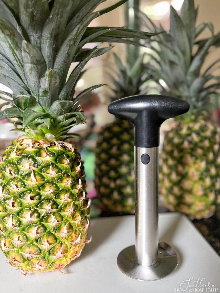 Pineapple corer and slicer