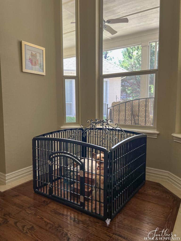 dog pen in alcove