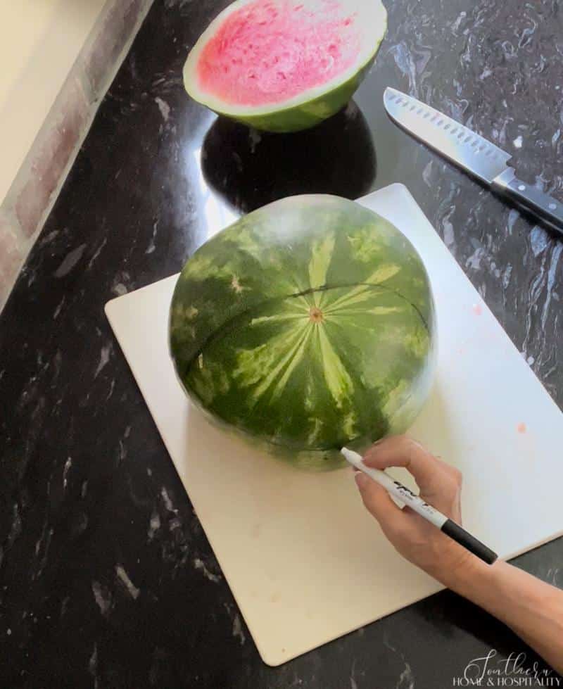 drawing the mouth of the watermelon shark