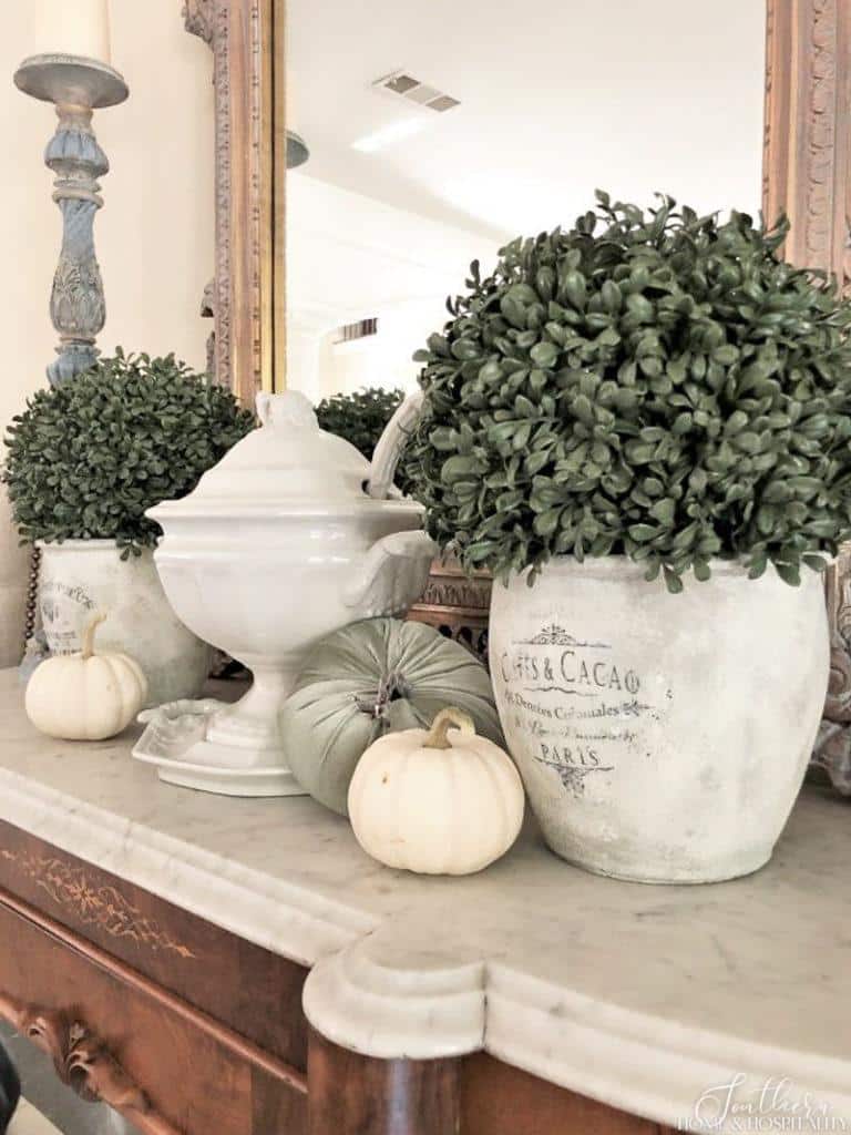 French garden pots, boxwood, and pumpkins