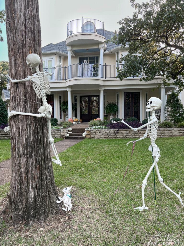 Dog skeleton chasing skeleton up tree