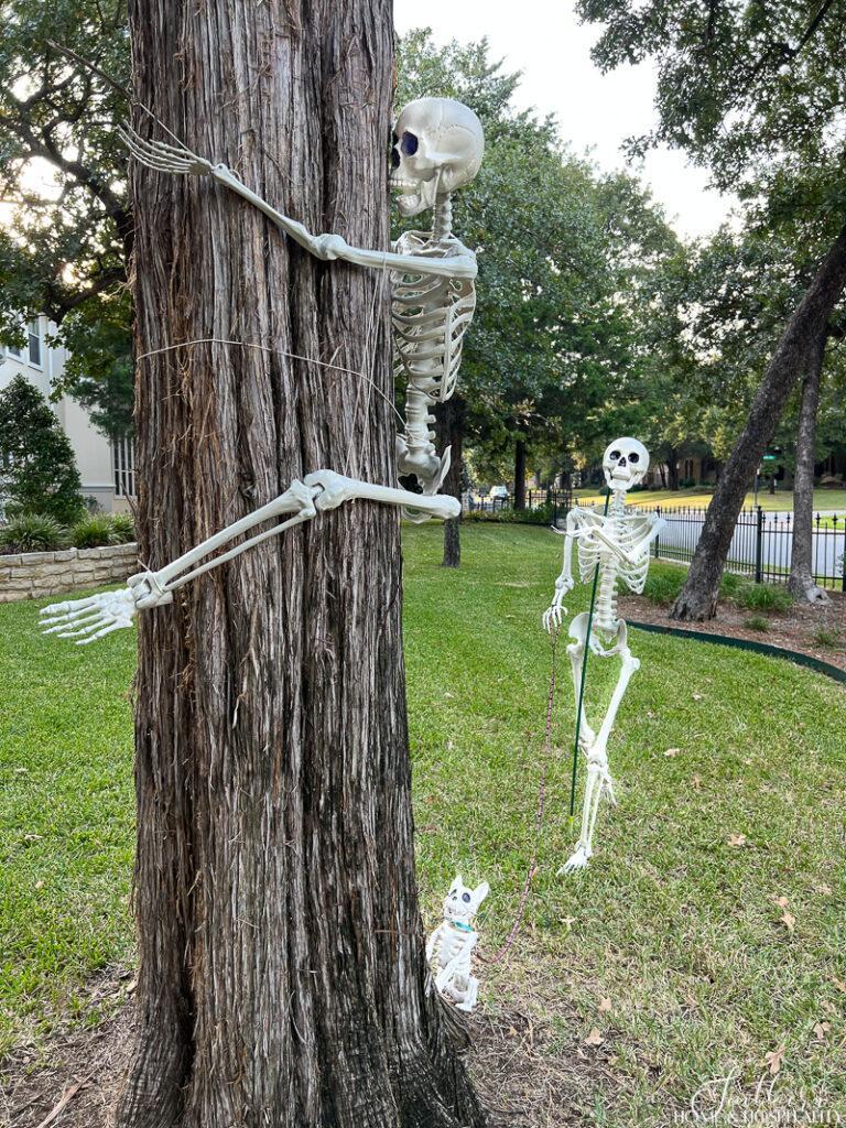 This Girl's Neighbors Won Halloween By Creating New Skeleton Scenarios  Every Day | DeMilked