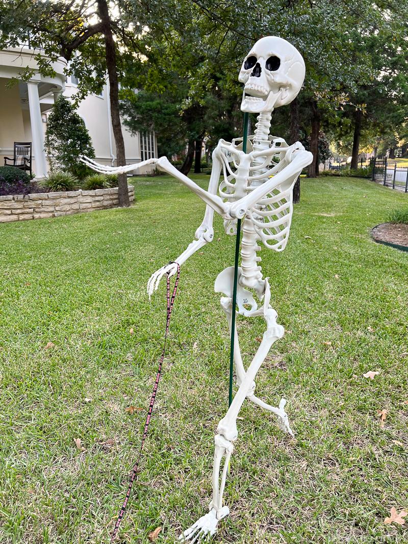 How to Easily Pose Cheap Halloween Skeletons in the Yard