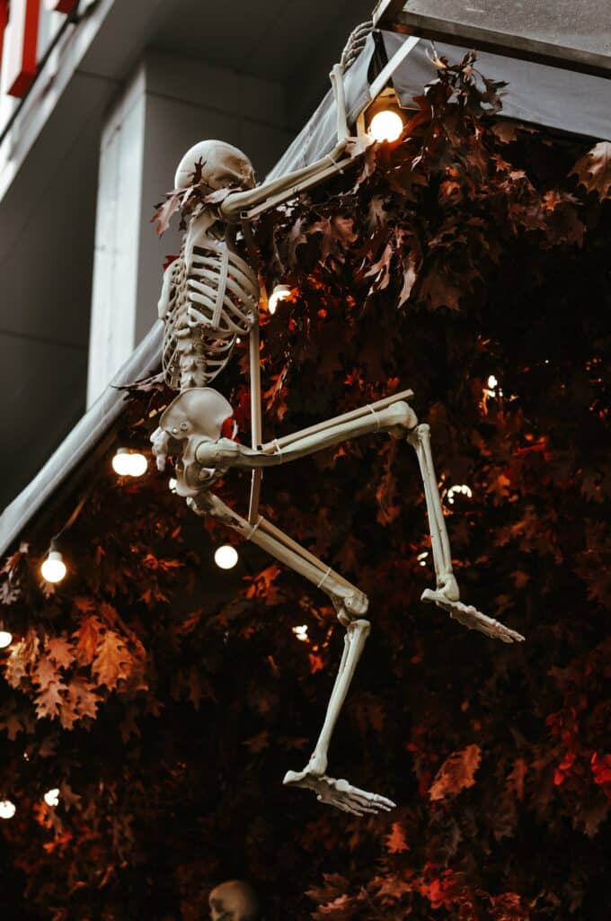 Skeleton climbing house