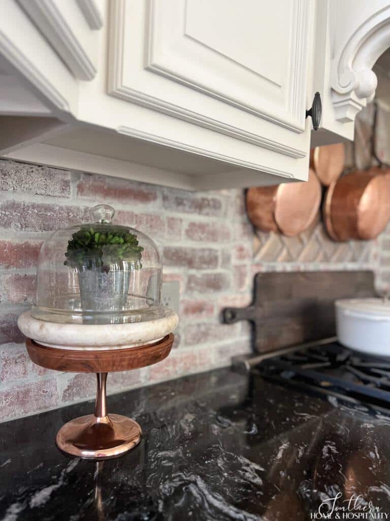 Boxwood topiary in cloche on kitchen counter