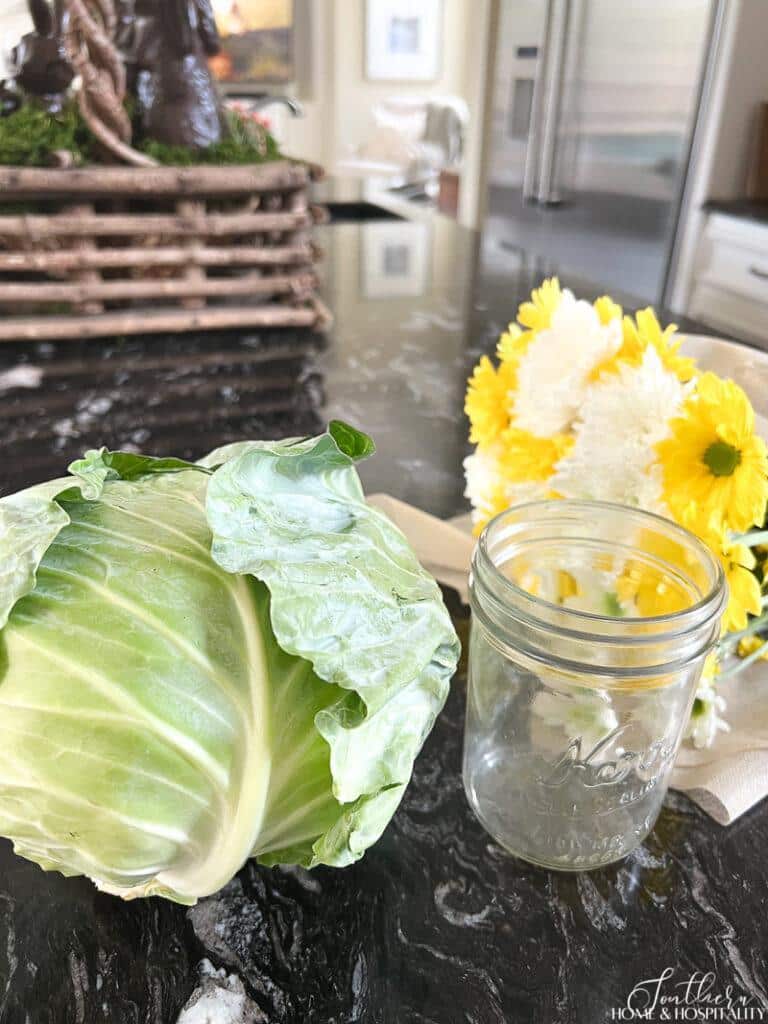 Supplies for cabbage vase