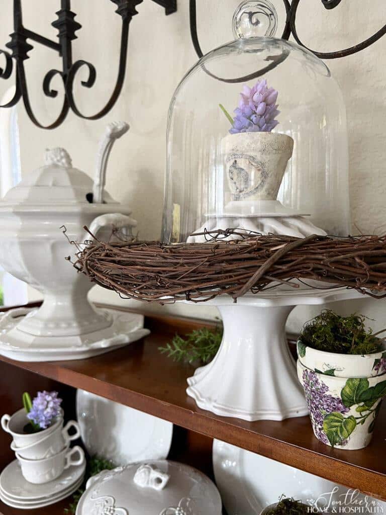 Vintage garden pot under cloche with purple spring flowers
