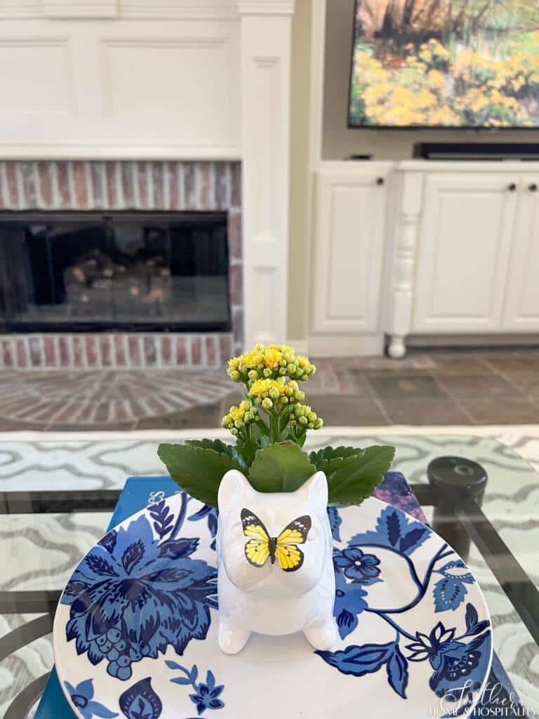 Frenchie garden pot with yellow Kalanchoe flowers and butterfly