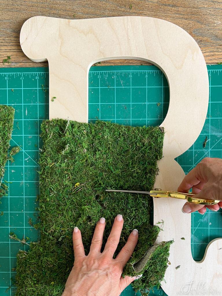 trimming moss for initial wall hanging