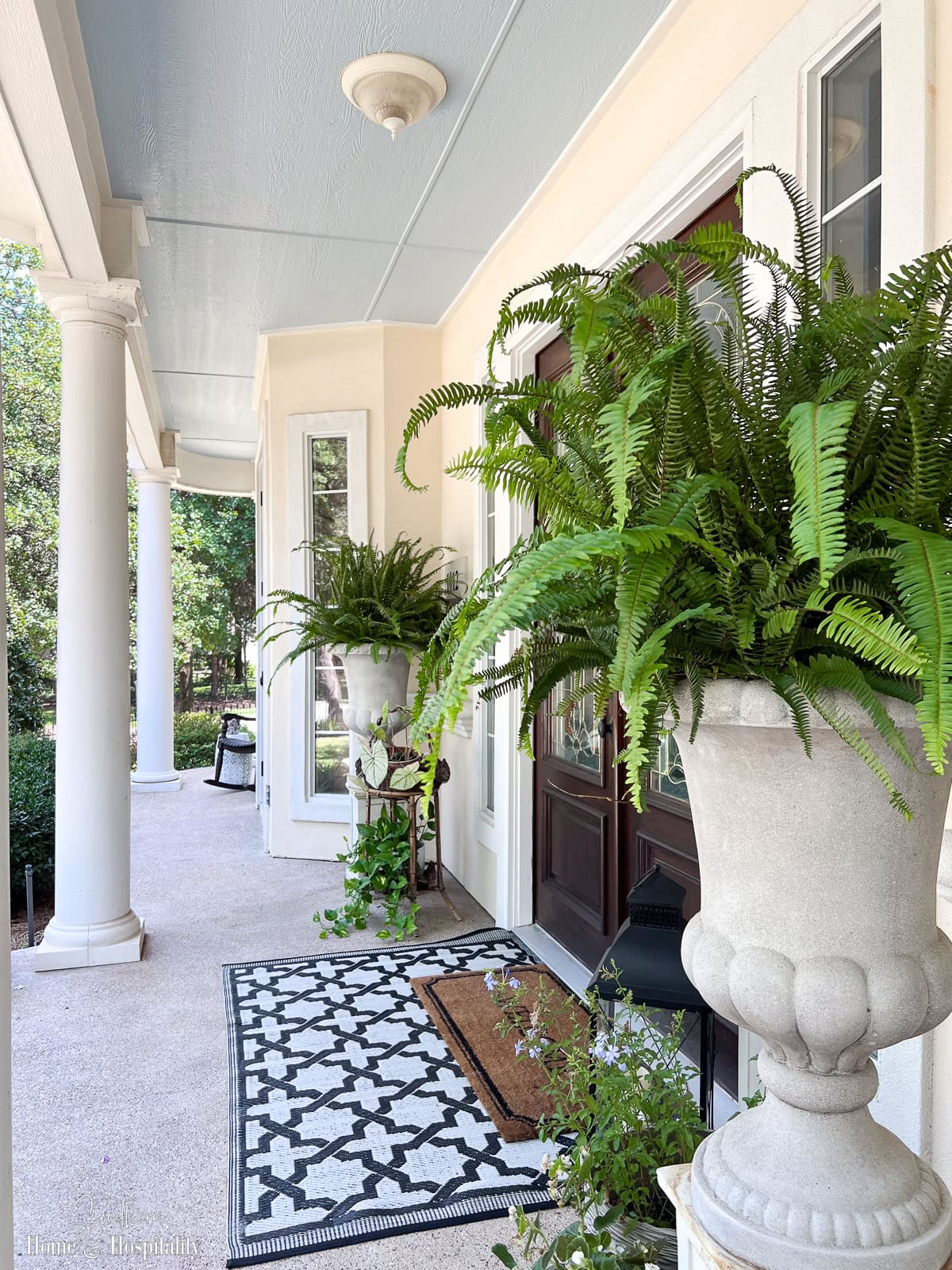 26 Shade Loving Plants Perfect for Southern Porch Containers