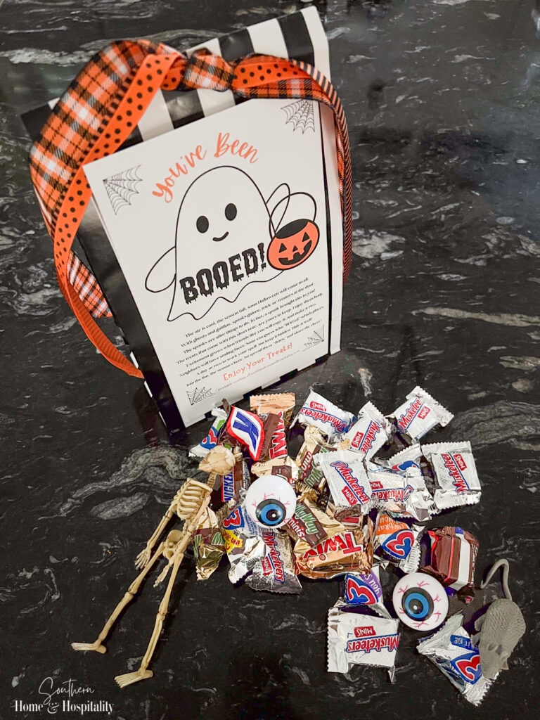 Candy and treats for boo bag