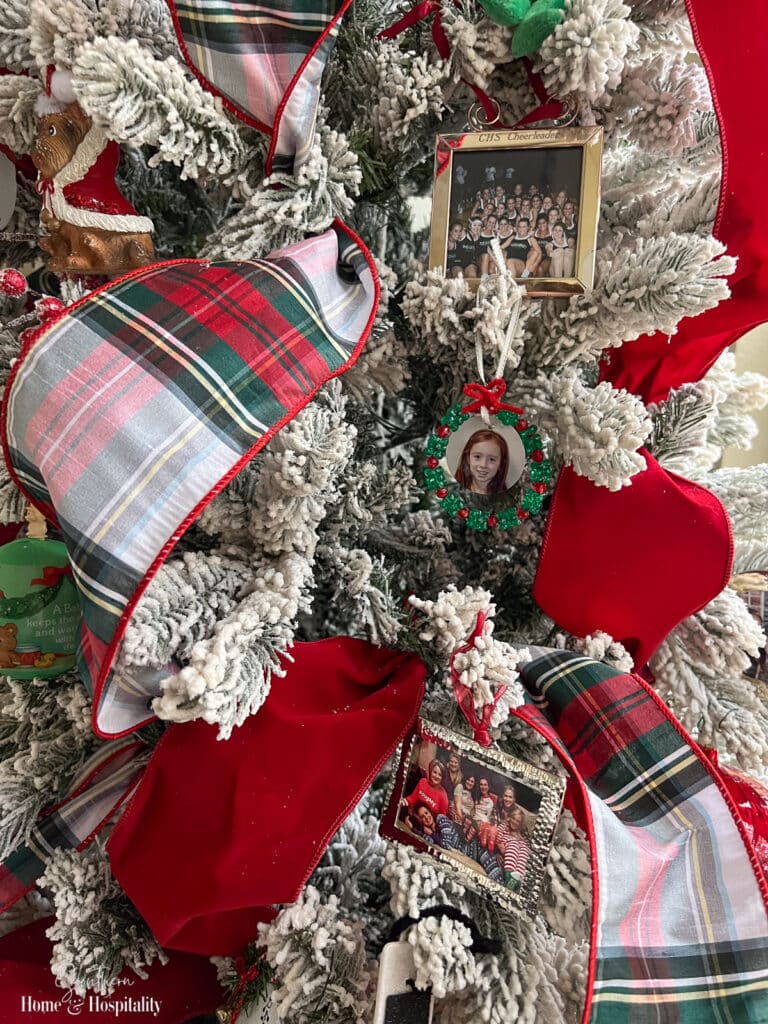 Photo frame ornaments on tree