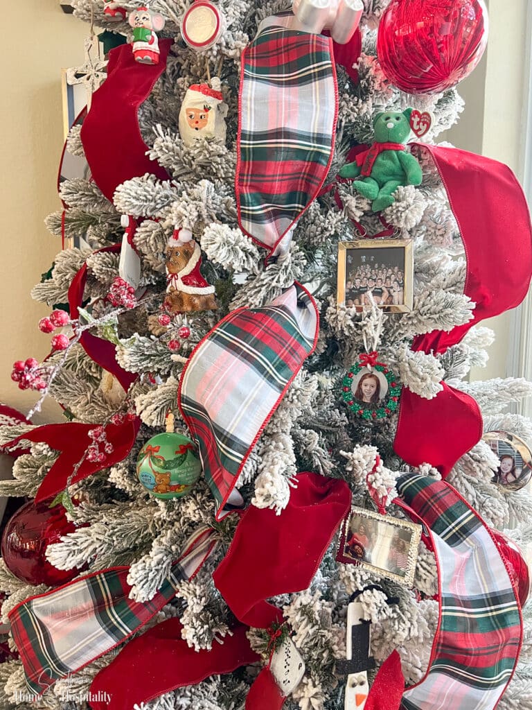 Plaid ribbon and red velvet ribbon on Christmas tree with family ornaments