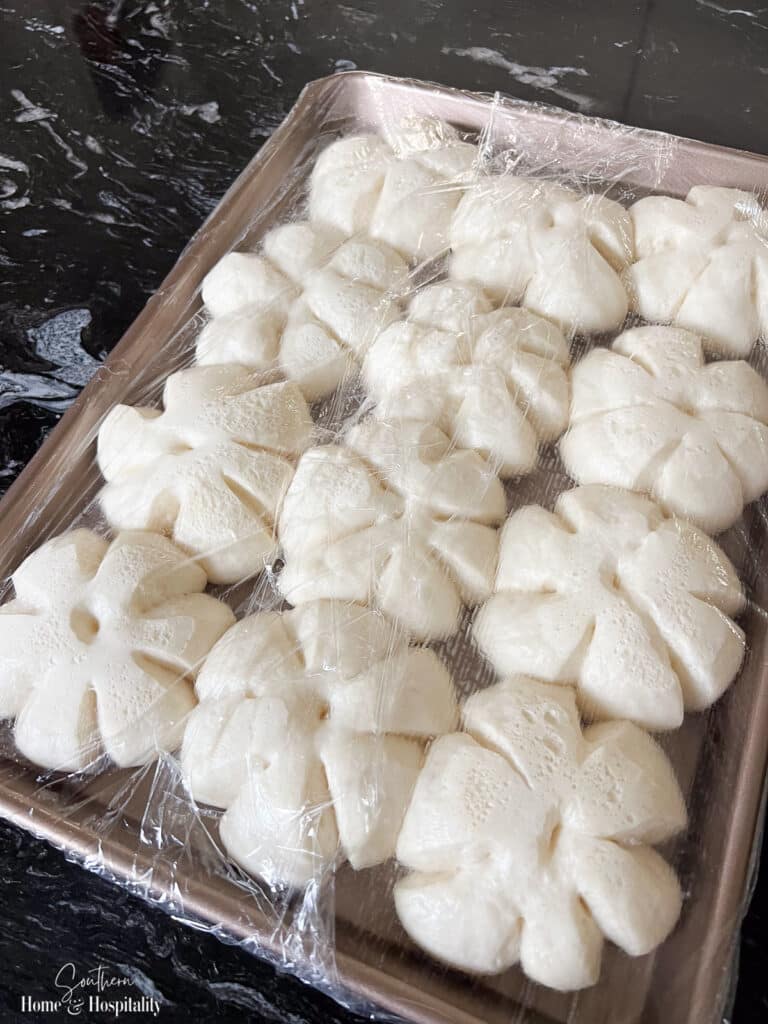 Bread dough for pumpkin rolls after rising