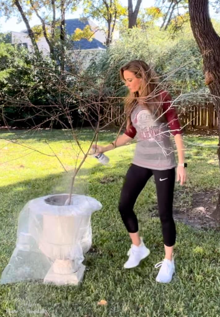 Spray painting tree branch white for holiday decor