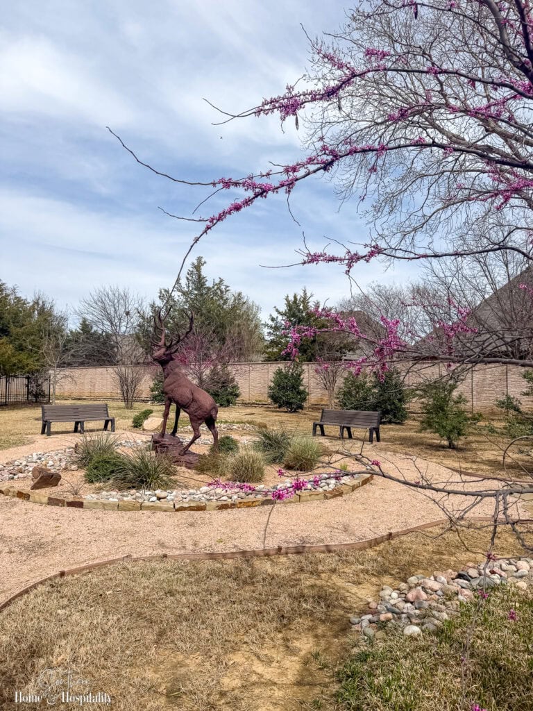 Park with redbud tree