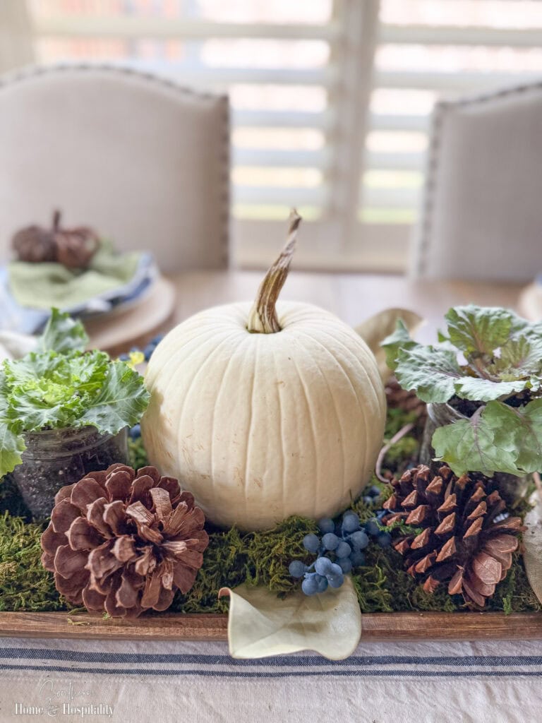 Blue and green fall table centerpiece with a white pumpkin, ornamental cabbage, moss, pine cones, and blueberries.