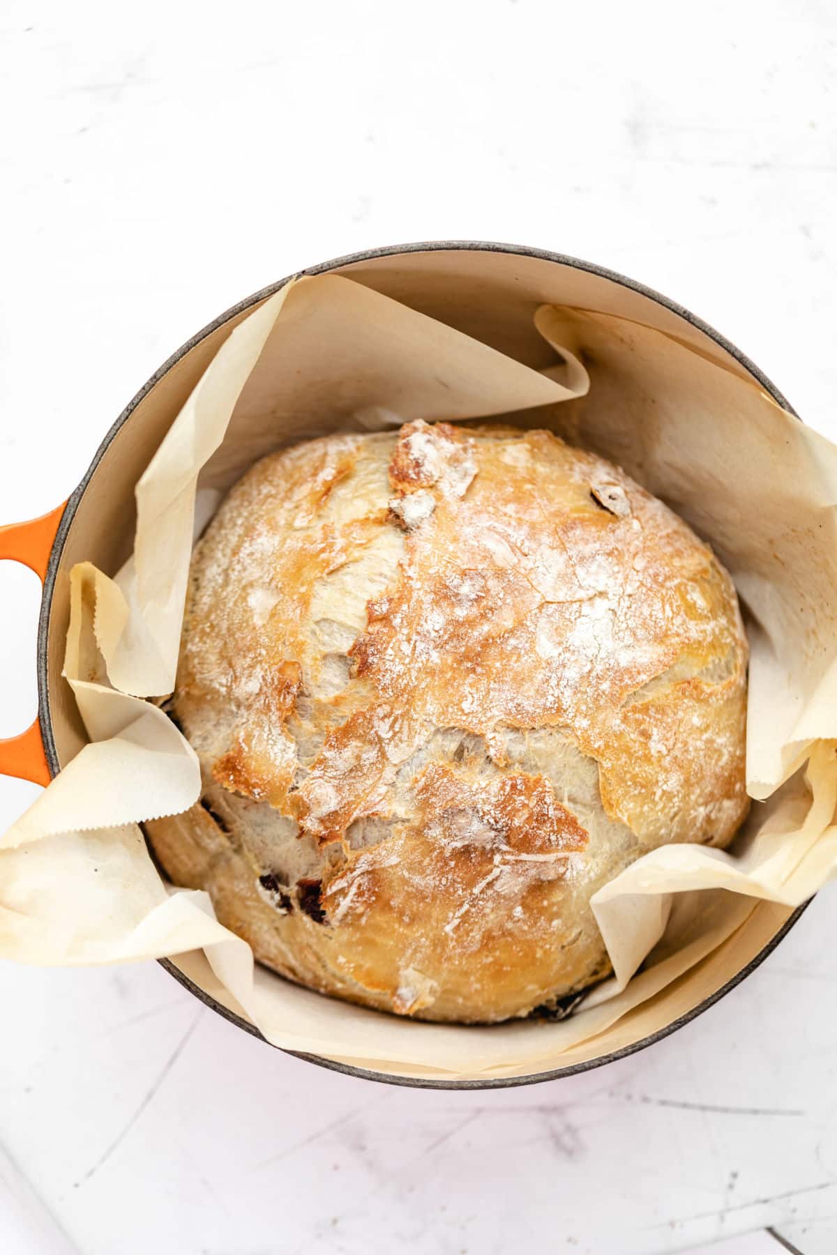 No knead cranberry loaf bread