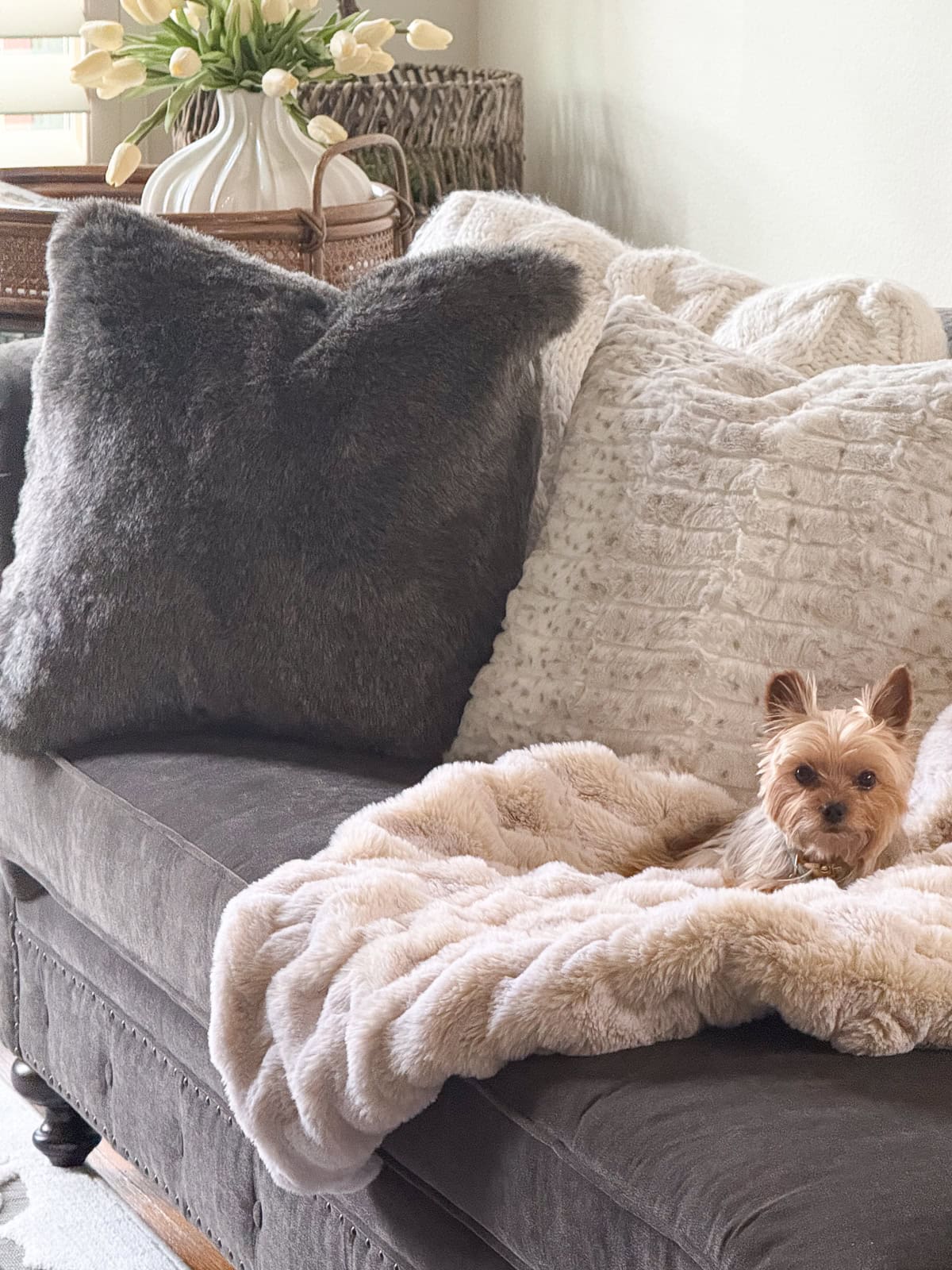 Come Sit By Me: Volume 62