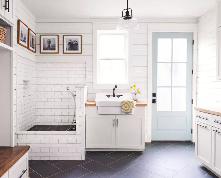 Mudroom with a sink and a dog shower