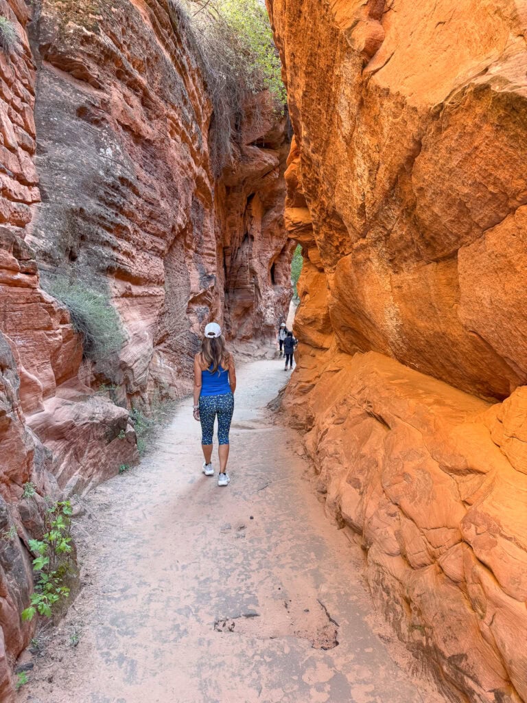 Scout's Landing Zion National Park