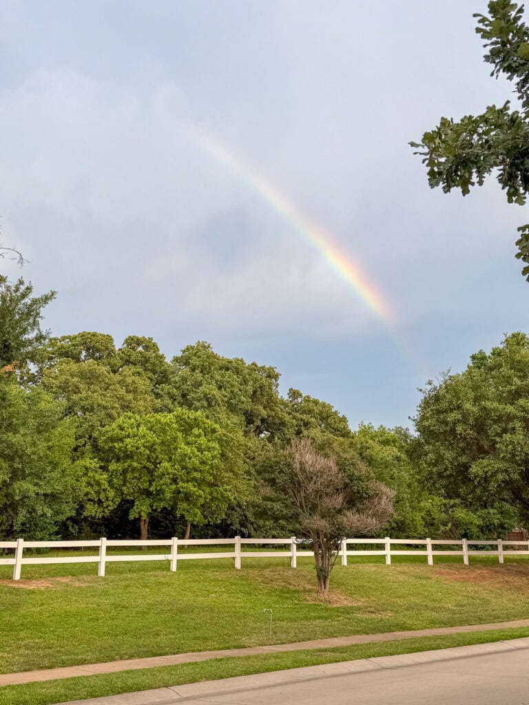 Rainbow