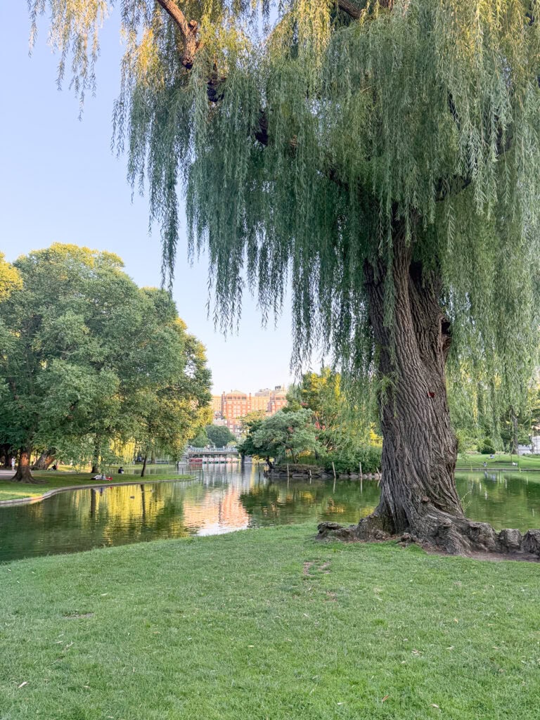 Boston park