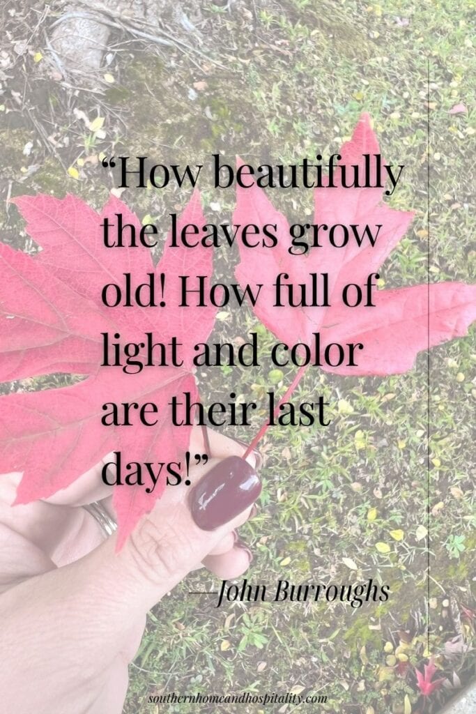 Red fall leaves held in a hand with the John Burroughs quote “How beautifully the leaves grow old! How full of light and color are their last days!”