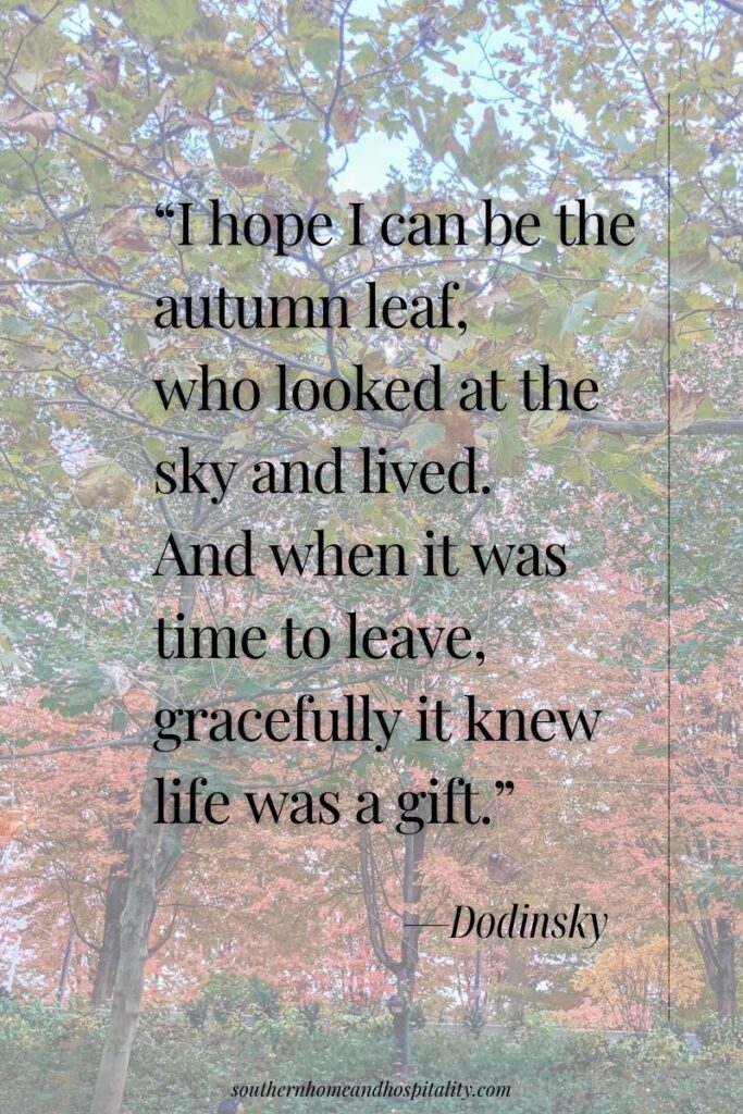 Autumn trees with the Dodinsky quote about being an autumn leaf that looked at the sky, lived, and gracefully left when it was time.