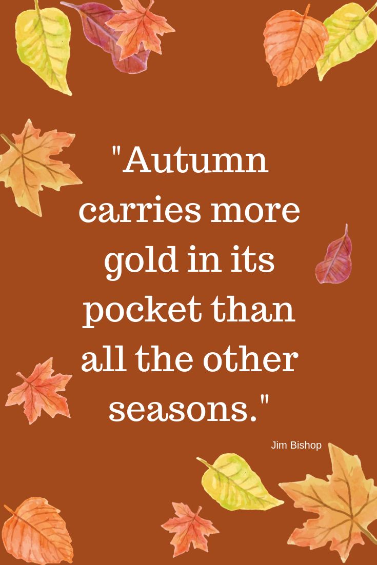 Fall quote