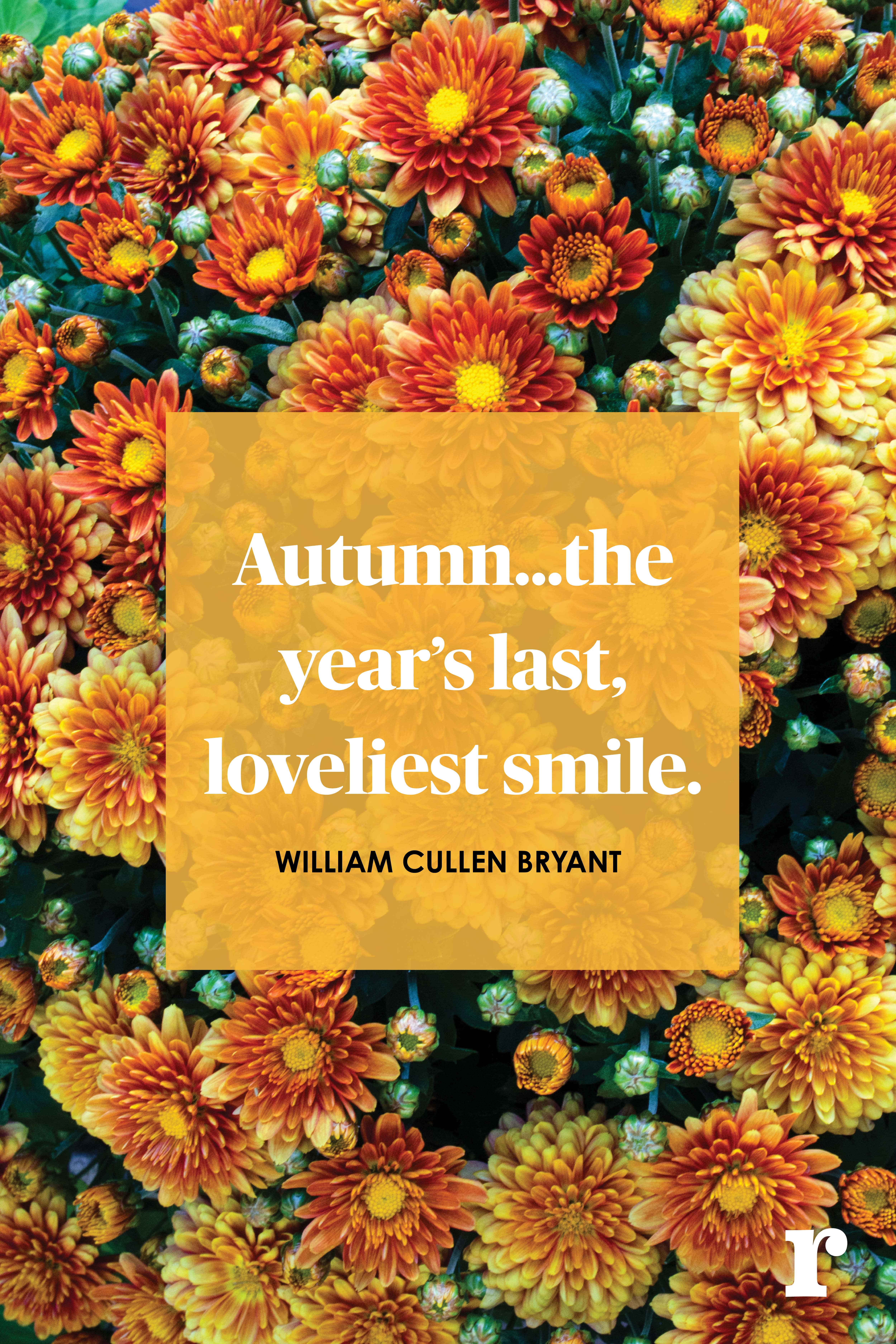 Inspirational fall quote